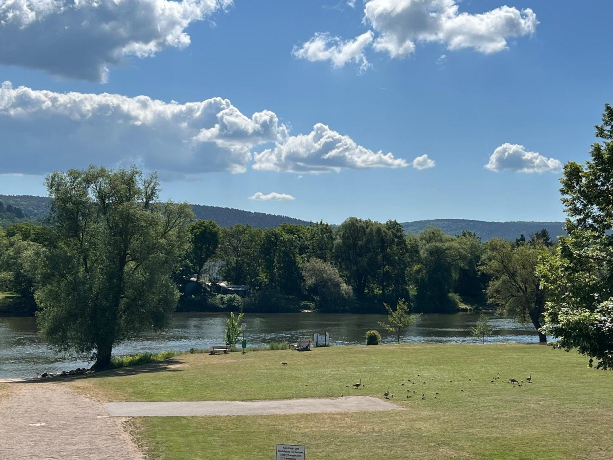 Ferienwohnung Marell Großwallstadt エクステリア 写真
